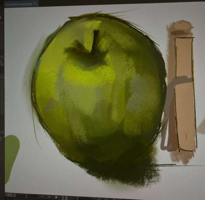 Still Life study